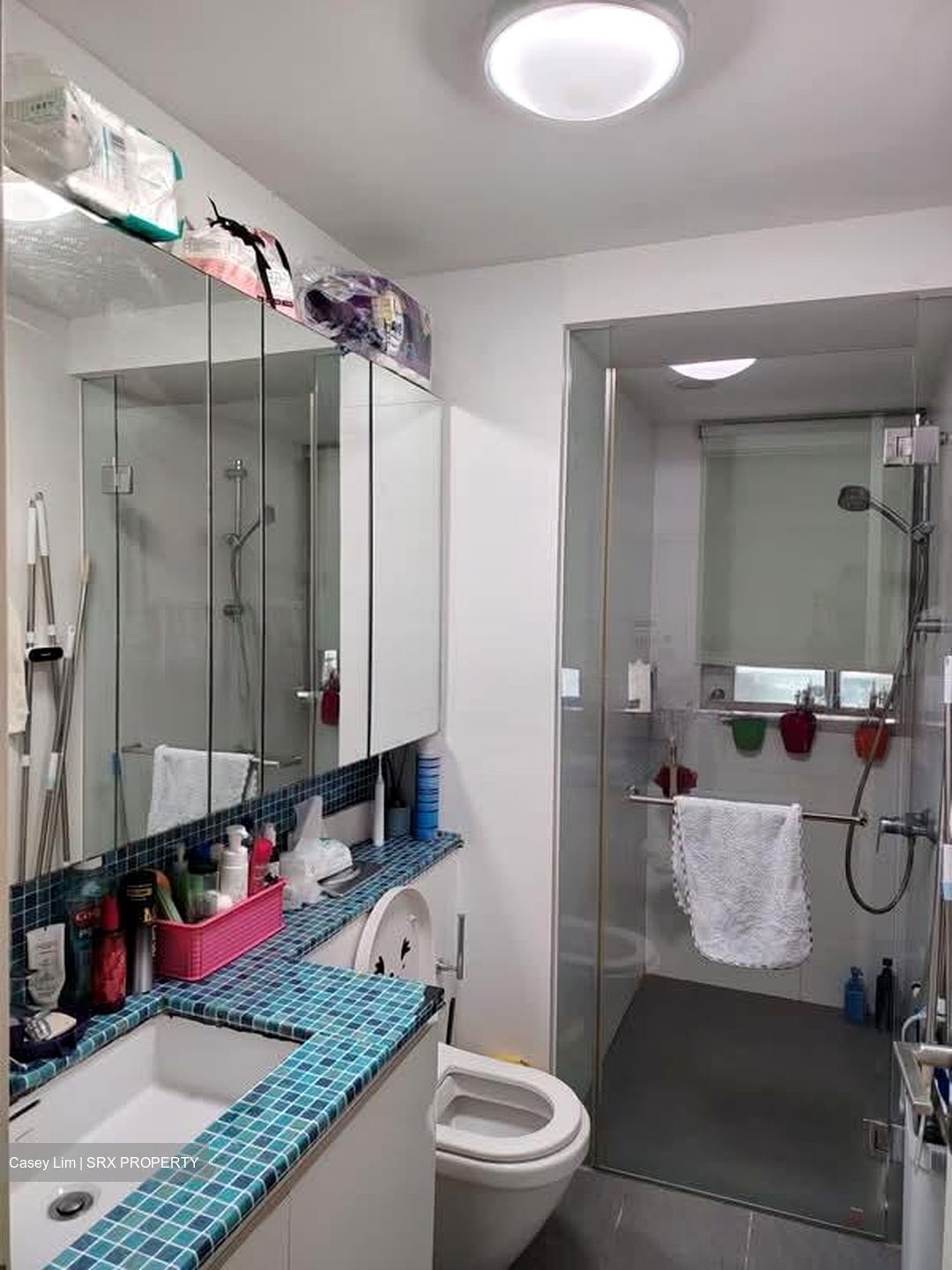 The Minton (D19), Condominium #551599941